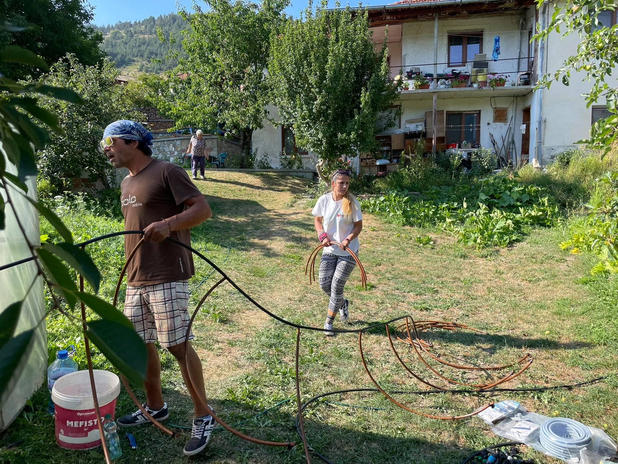 young people doing gardening